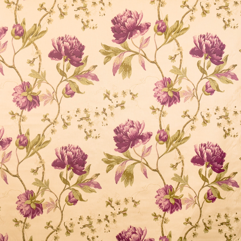Vervain Pivoines Violet