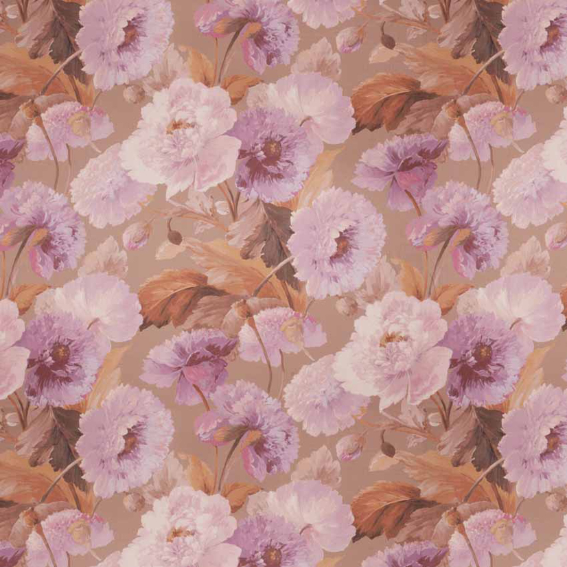 Vervain Midsummer Orchid