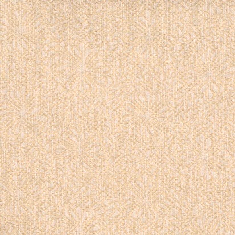 Vervain Chrysanthemum Cloud