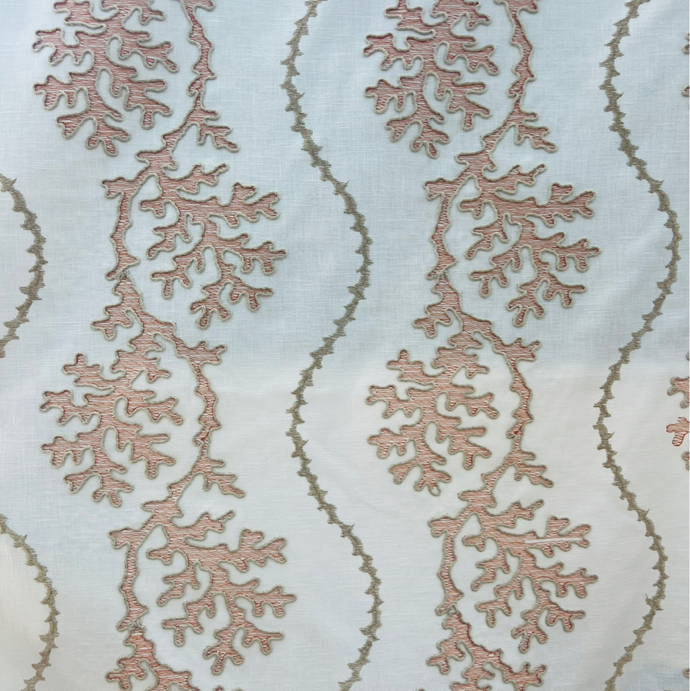 Cove Coral