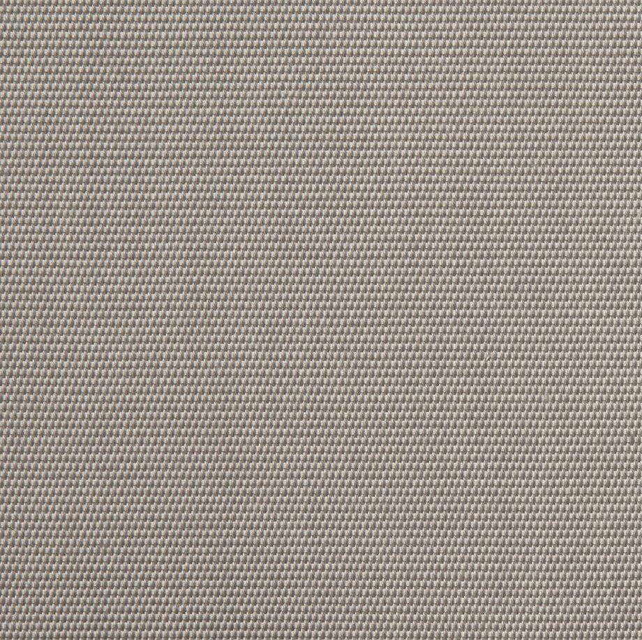 Fresh Canvas Silverfish