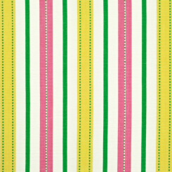 Bima Stripe Watermelon