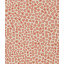 Vervain Oberto Coral