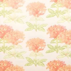 Vervain Lindsay Coral