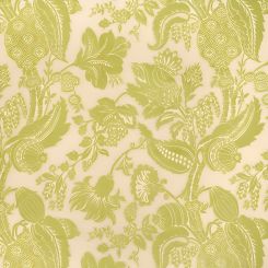 Vervain Gabriella Avocado