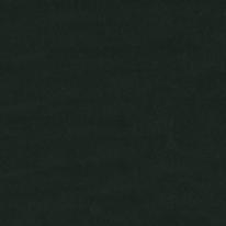 Ralph Lauren Moleskin Velvet Hunter 