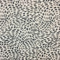 Everly Dalmatian 