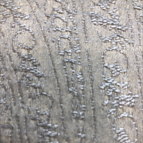 4 Yards Paisley  100% Polyester Woven  Fabric